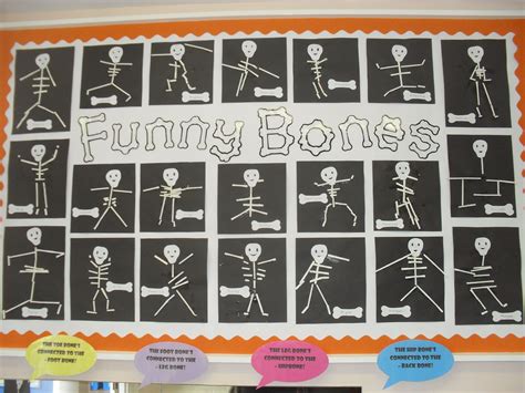 Funny Bones Display Bones Funny Halloween Kindergarten People