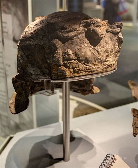 The 2000 Year Old Hallaton Helmet Is The Only Roman Helmet Ever Found