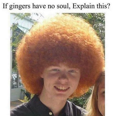 Pin By Dave Mauriello On Redhead Stuff Gingers Have No Souls Funny Pictures Hilarious