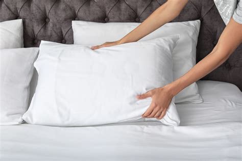 Bab.la is not responsible for their content. Bantal Perlu Diganti Secara Berkala. Ini Antara Alasannya ...