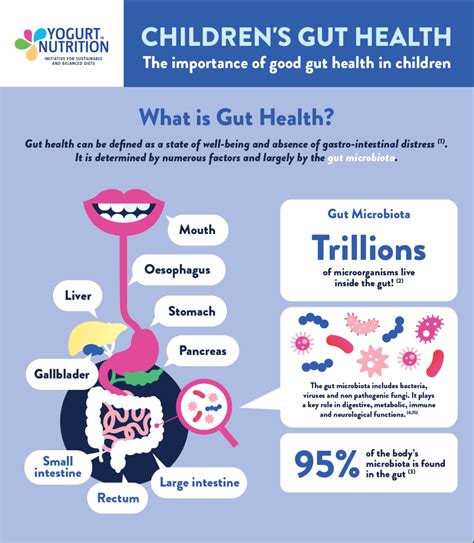 Childrens Gut Health Yogurt In Nutrition