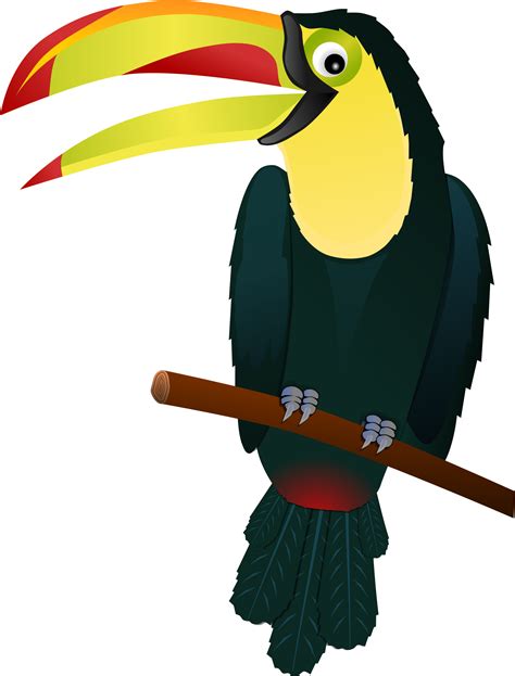 Toucan Clipart Beak Tropical Bird Clipart Png Download Full Size