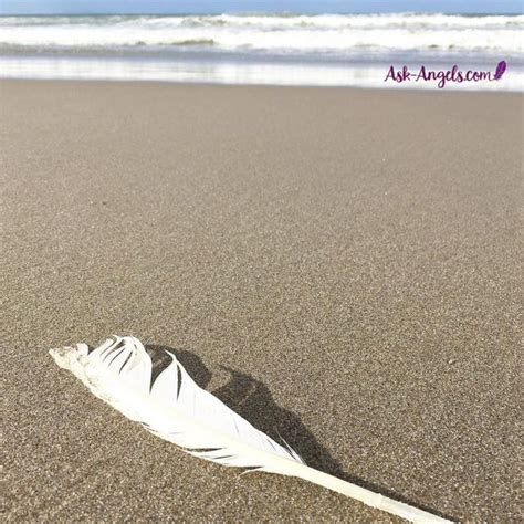 We did not find results for: Learn Angel Feather Meanings - What Do White Feathers Mean ...