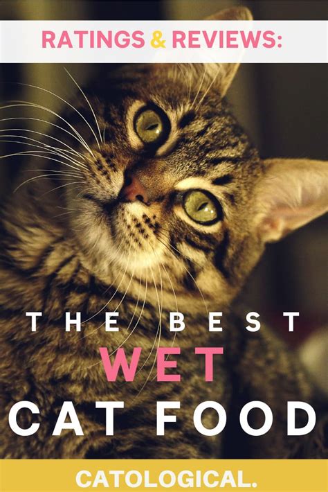 It's also high in protein and contains added omega three and. The 5 Best Wet Cat Food Brands with Ratings & Reviews for ...