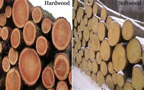 Hardwood Vs Softwood Why Softwood Cheaper Than Hardwood Wood Critic