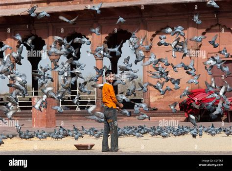 Young Indian Boy Feeding Pigeons Outside Jama Masjid Mosque In Old