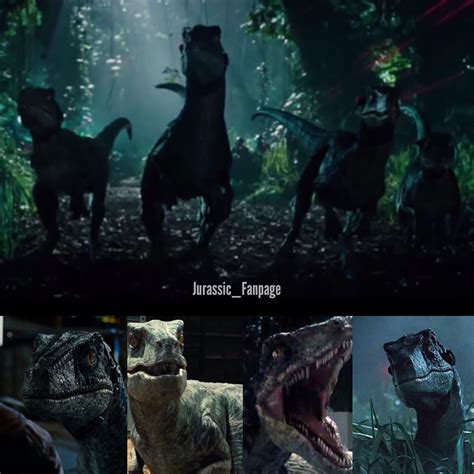 The Raptor Squad From Jurassic Fanpage Ig Jurassic World Raptors Jurassic Movies Jurassic
