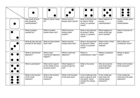 Biology Digestion Revision Dice Games Teaching Resources