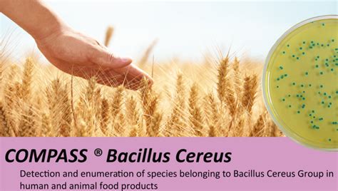 Compass ® Bacillus Cereus Ledtechnobe