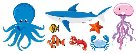 A Set Of Sea Creatures 294901 Download Free Vectors