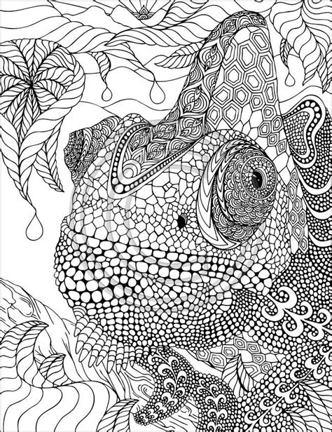 52 Best Colouring Pages Images On Pinterest Coloring Books Drawings
