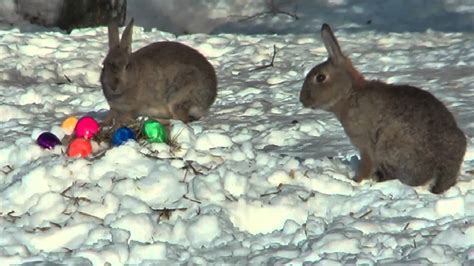 Auch werden in der osterzeit sträuche und zweige in vasen mit ostereiern geschmückt. Ostern im Schnee - YouTube