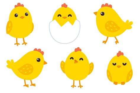 Baby Chick Clipart Free Download On Clipartmag