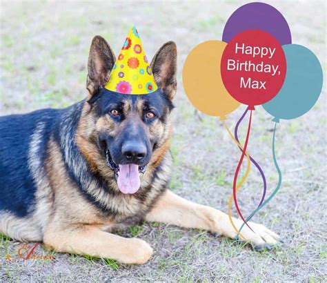 5 Tips On Hosting A Surprise Birthday Party For Your Dog