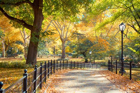 Plan your visit, special event or even your wedding! New York Holidays 2018 : Package & save up to 13% ...