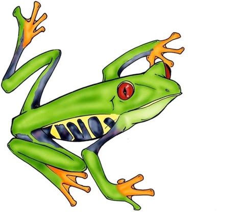 Free Jungle Frog Cliparts Download Free Jungle Frog Cliparts Png