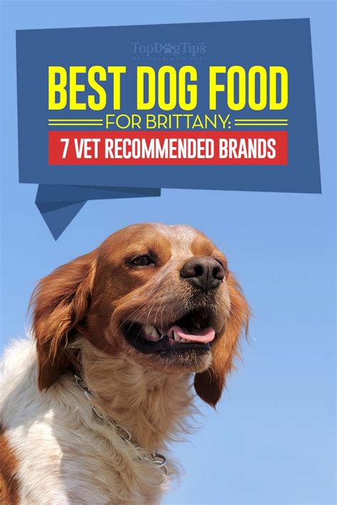 Here are the advisor's best dog foods… by category. Best Dog Food for Brittany: 7 Vet Recommended Brands