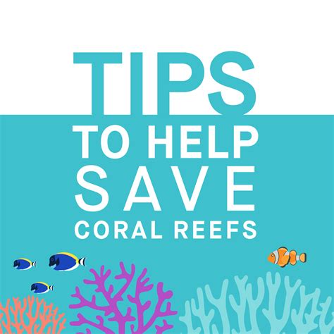 Graphic Campaign Tips To Help Save Coral Reefs Mirpuri Foundation