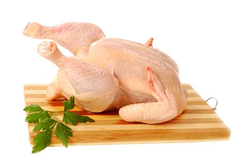 Download White Chicken Png Image Hq Png Image Freepngimg Vrogue