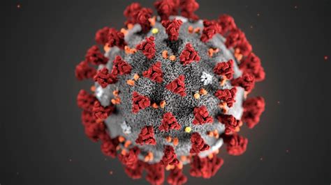 Disegni coronavirus per bambini da. Coronavirus, ecco le immagini del virus - la Repubblica