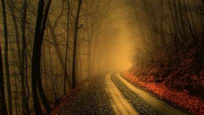 Dark Woods Forest Road Foggy Wallpapers Impregnated