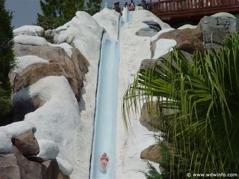 We went with his friend,stephon. Disney's Blizzard Beach Water Park - Walt Disney World