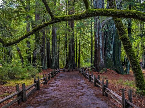 11 Beautiful California State Parks To Explore This Summer