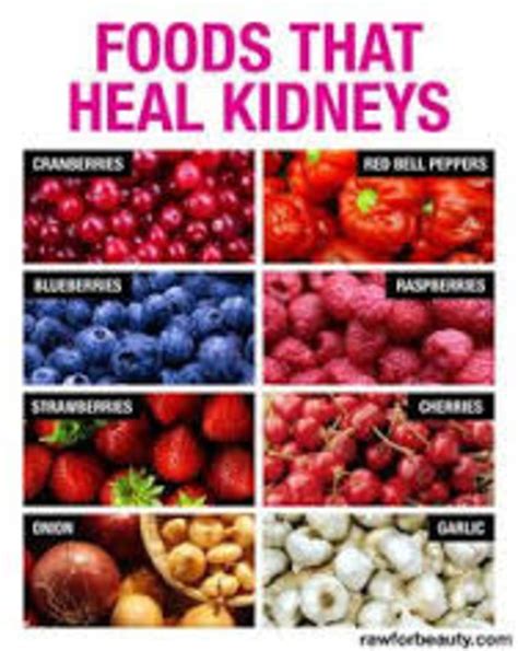 Updated Chronic Kidney Disease Diet Books Reviews 2020 A Listly List