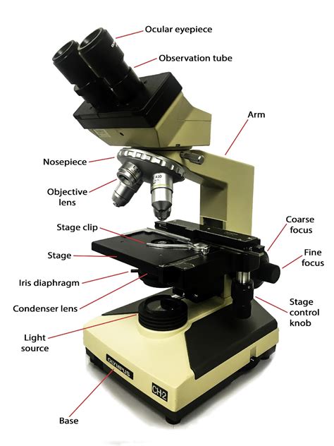 Label Parts Of The Microscope