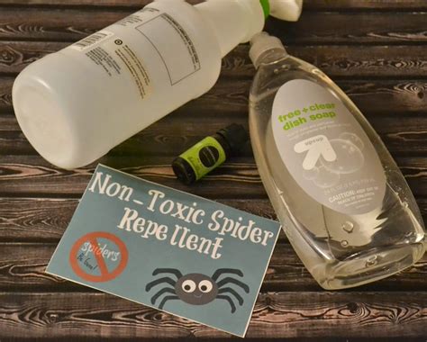 Homemade Non Toxic Peppermint Spider Repellent The Homestead Survival