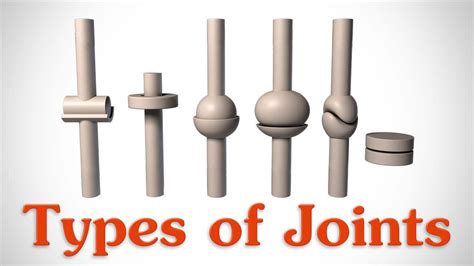 Joints are points where a muscle is connected to two different bones and contracts to pull them together. Types Of Joints In The Human Body | Types Of Joints And ...