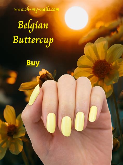 A grayish yellow that is paler and slightly redder than chamois and redder [1505 15; Say hello to Belgian Buttercup, a pale creme-finish yellow ...