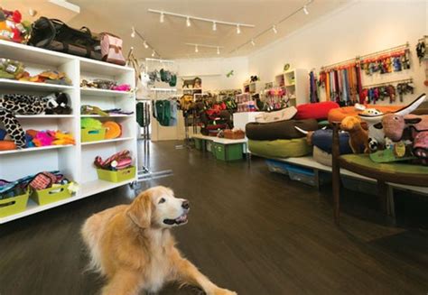Find the specialized nutrition best for your pet. Pet Stores Near Me - PlacesNearMeNow