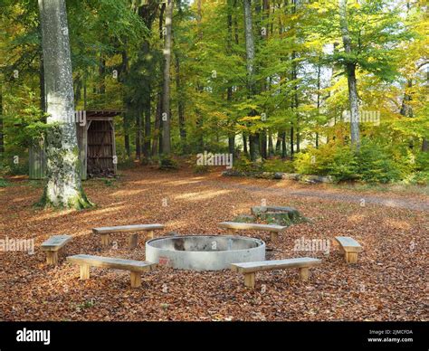 Barbecue Area With A Fireplace And Benches Stock Photo Alamy