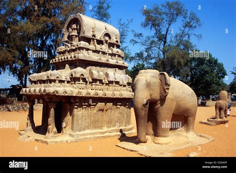 Pancha Rathas Five Rathas Elephant Sculpture Mahabalipuram