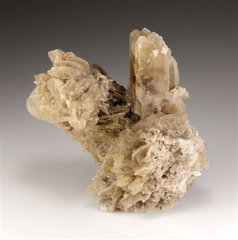 Gypsum - Minerals For Sale - #3231022