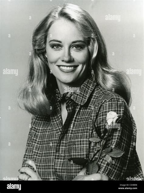 Cybil Shepherd Us Film And Tv Actress About Stock Photo Alamy