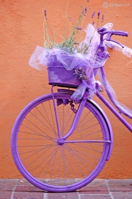 Purple Bicycle Purple Bicycle Purple Bike Bicycle