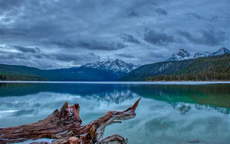 Download Wallpaper 2560x1600 Mountain Lake Landscape Reflection Log