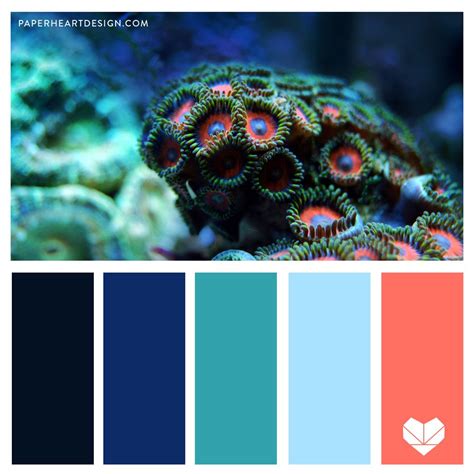 The combo library provides a convenient way to search peach color schemes. Color Palette 002 - Living Coral | Blue color schemes ...
