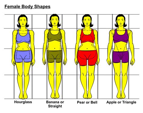 Style With Ama Glamz Womens Body Shapes And What Fitsintro