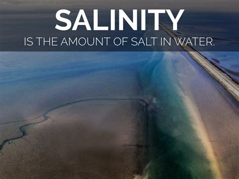 Salinity By Audrey Soss