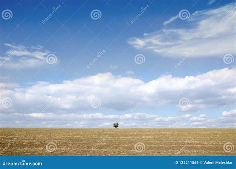 Lone Tree Across The Cleared Field Stock Photo Image Of Horizon Farm