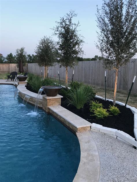 Freeform Pools — Backyard Amenities Houston Pool Builder In Ground