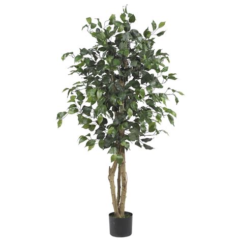 4 Ficus Auriculata Artificial Silk Tree Nearly Natural