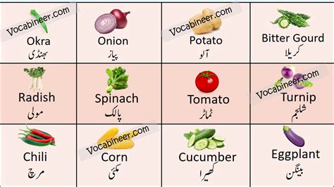 Vegetables Name In Urdu And English With Pictures