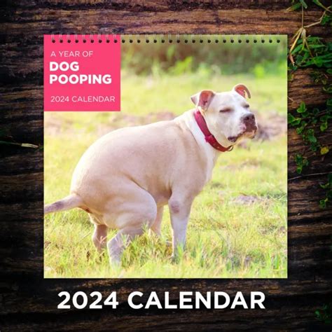 Dogs Pooping Calendar 2024 Dog Wall Calendar 2024 Funny Calendar 2024