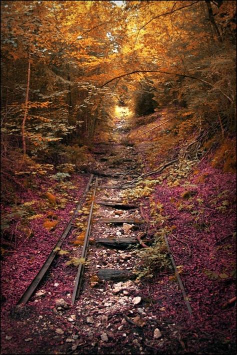 Abandoned Railroad Tracks In The Fall Near Lebanon Missouri Rustyrails