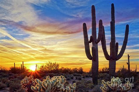 Arizona Desert Sunset Photograph By Matt Suess