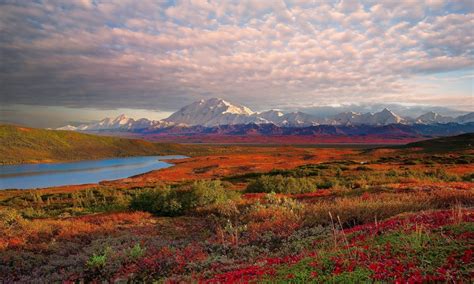 Landscape Denali National Park Alaska Desktop Wallpaper Hd Resolution